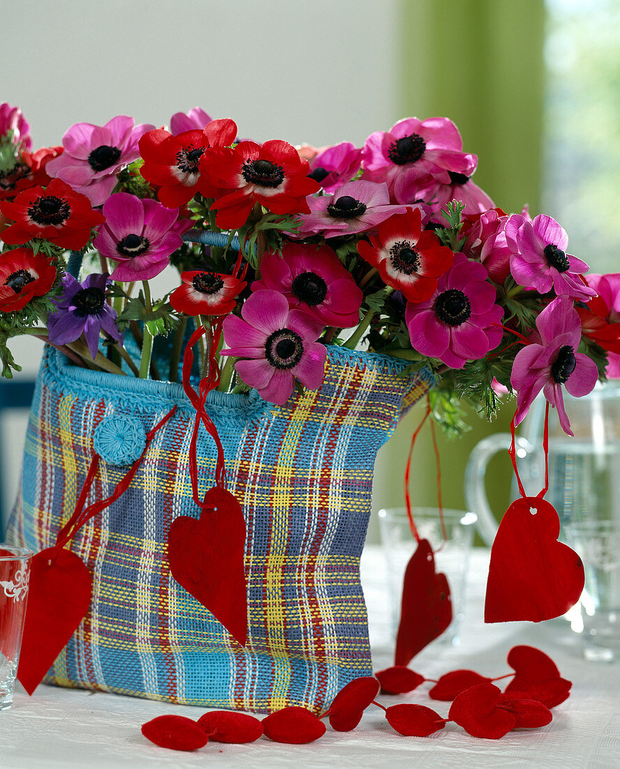 Vase mit Anemone coronaria / Kronenanemone in Tasche