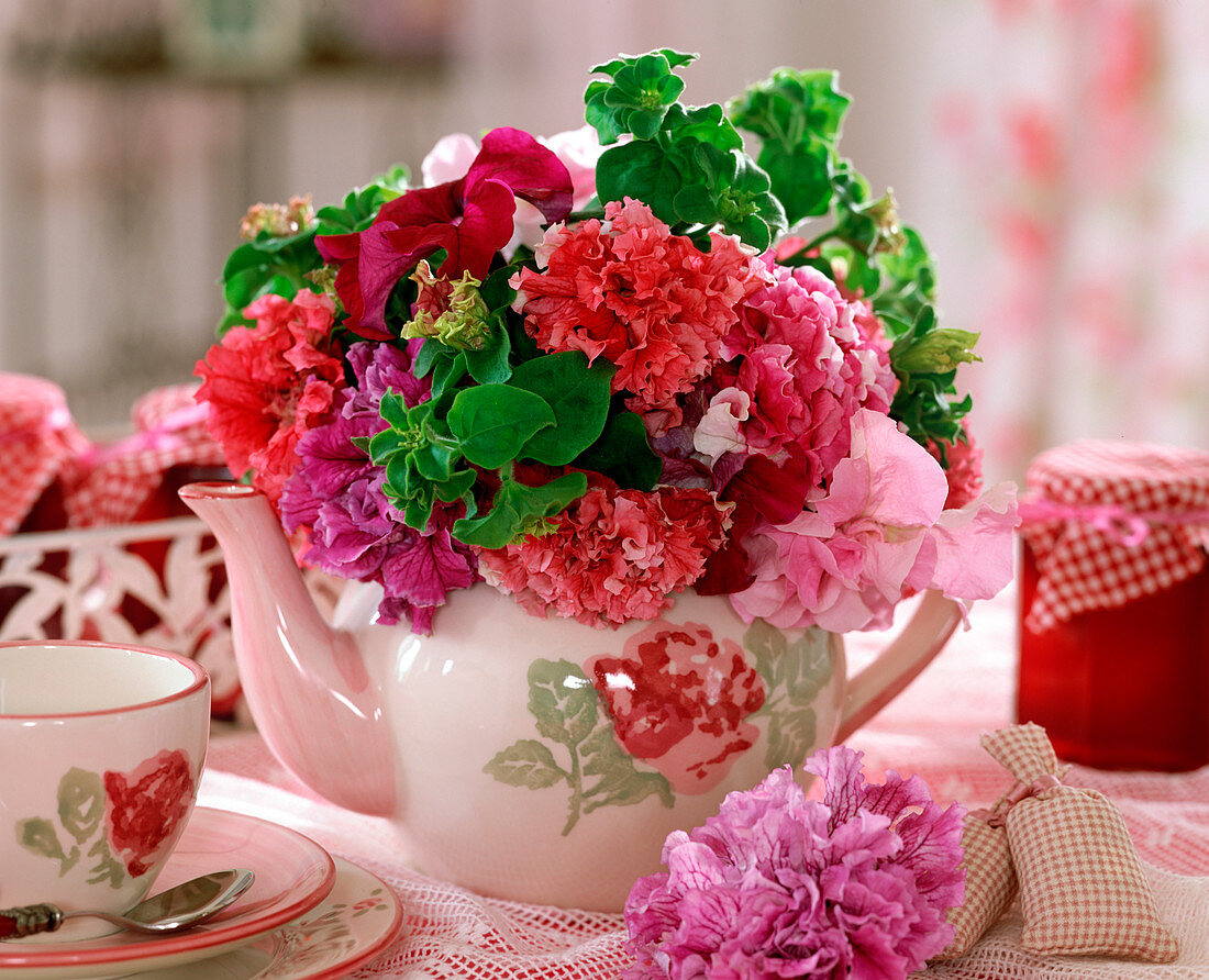 Teekanne mit Petunia-Hybr., gefüllte und ungefüllte Blüten