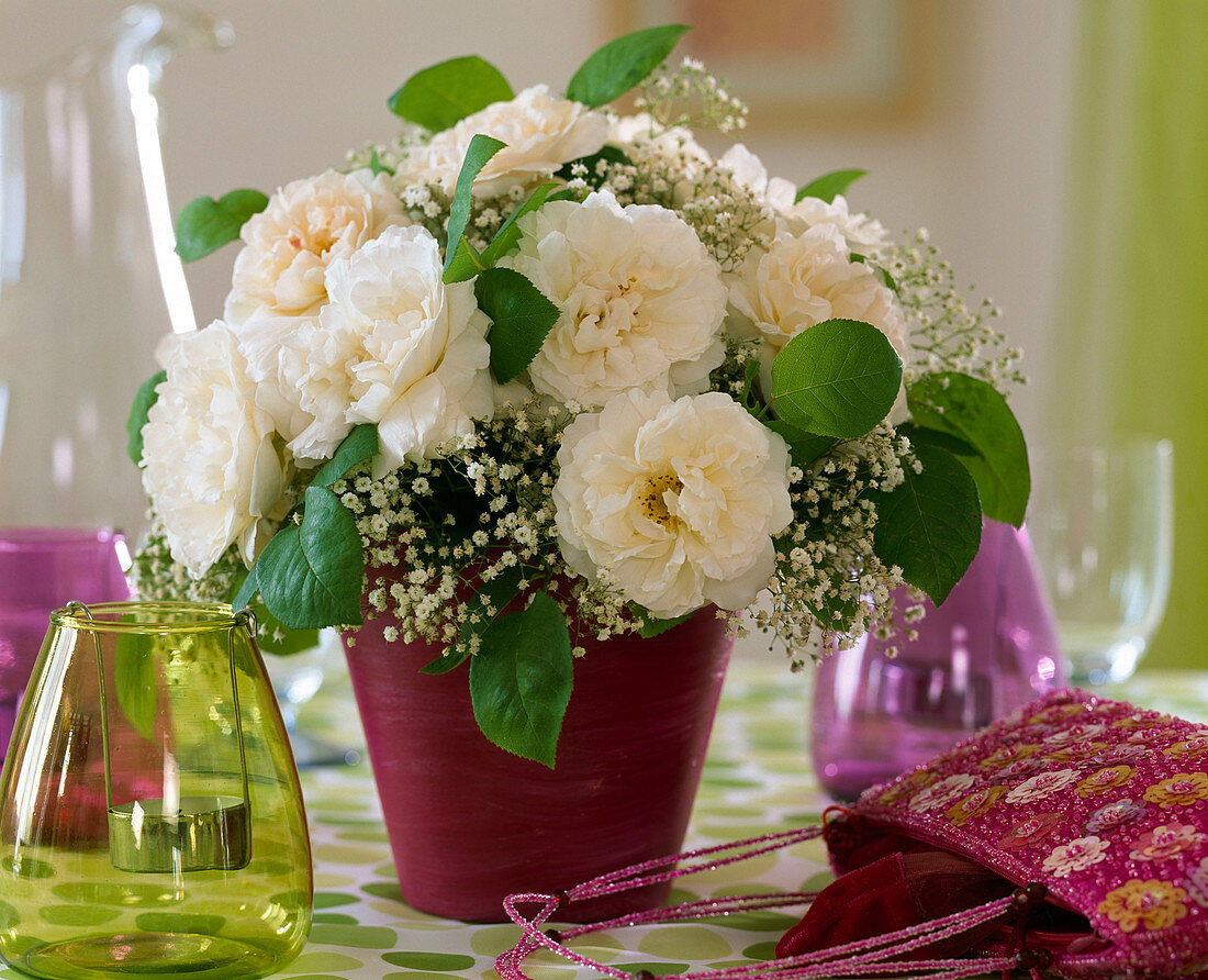 Historische Rosen in weiß, Gypsophila (Schleierkraut)