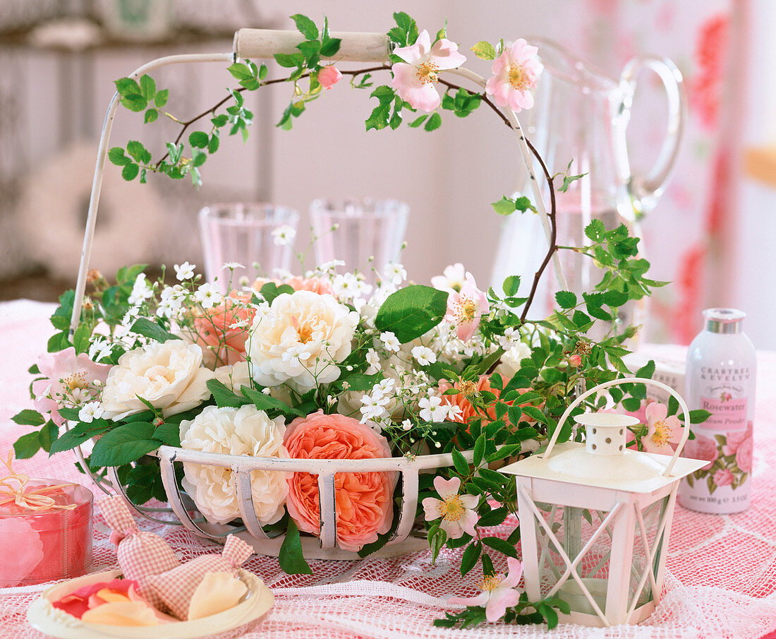 Iron basket with flowers of historic roses, Gypsophila