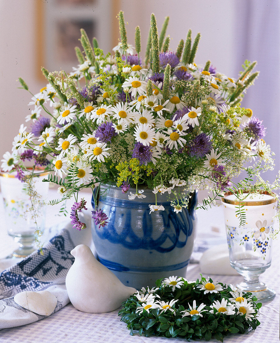 Wiesenblumen: Argyranthemum (Margerite), Galium (Labkraut)