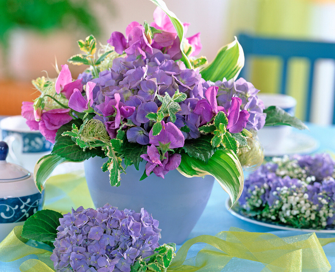 Hydrangea (Lathyrus odoratus), Hosta (Funkie), Mentha