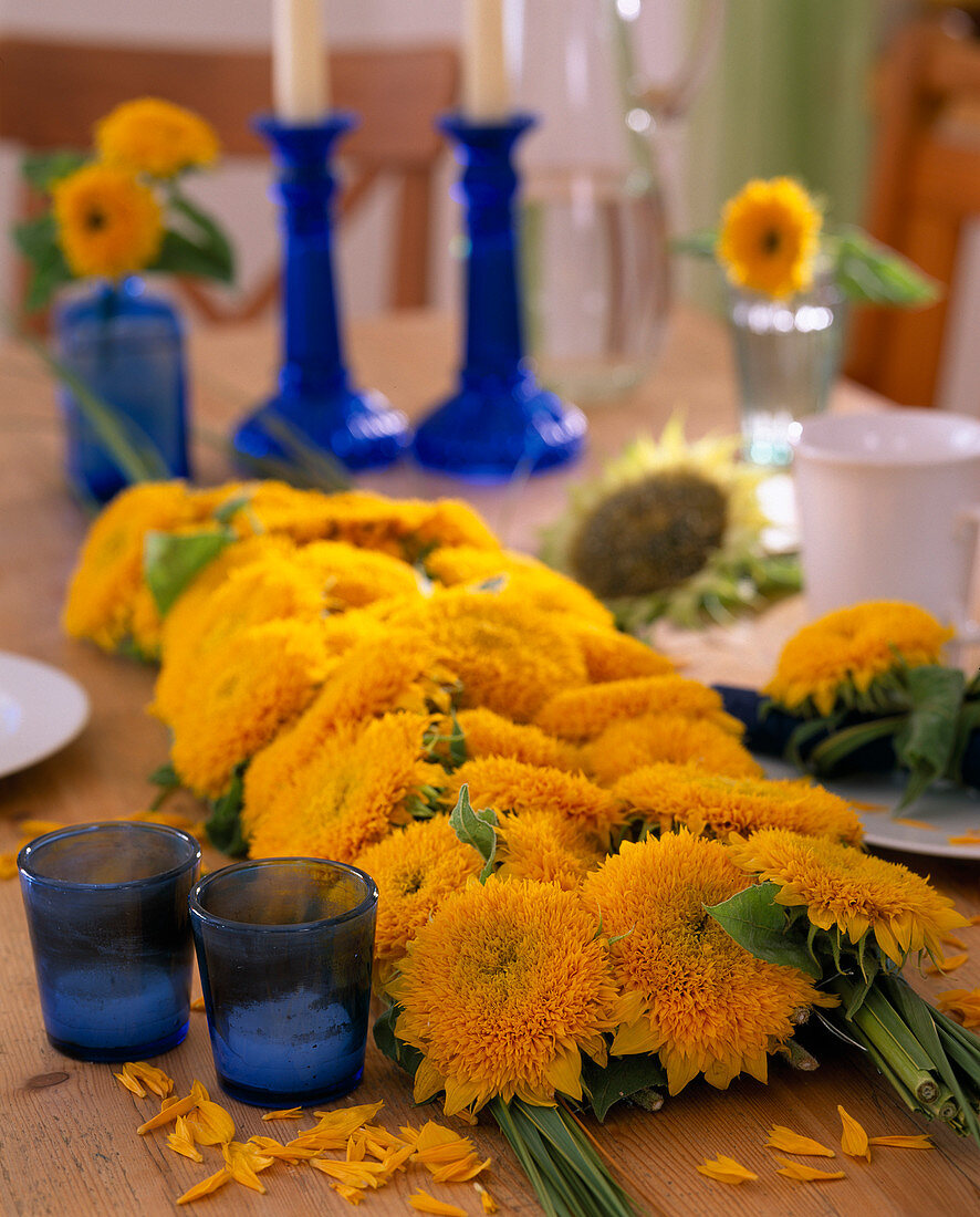 Tischdeko: Helianthus annuus / Sonnenblume 'Teddybär'