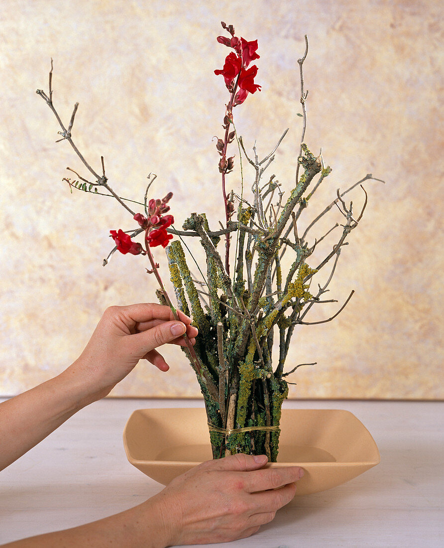 Arrangement of Sambucus and Antirrhinum (4/5)