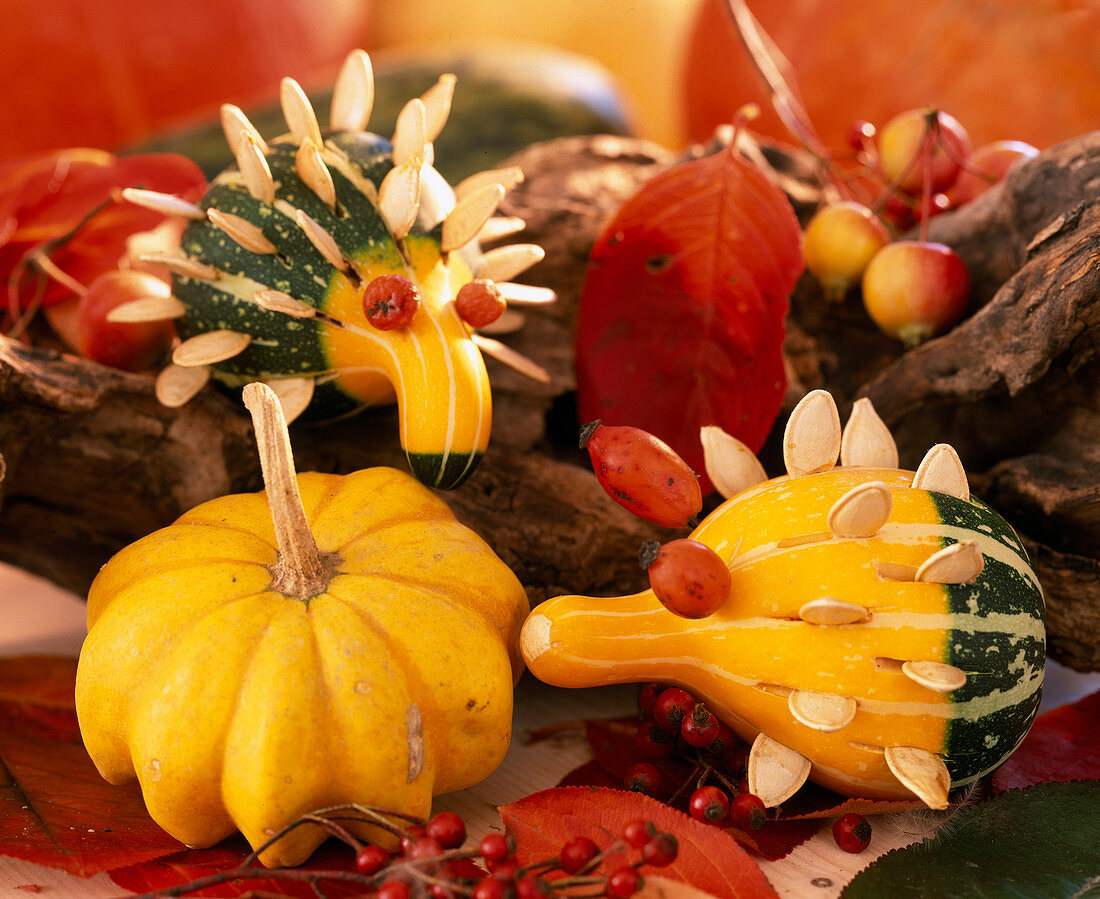 Making hedgehogs out of ornamental squash