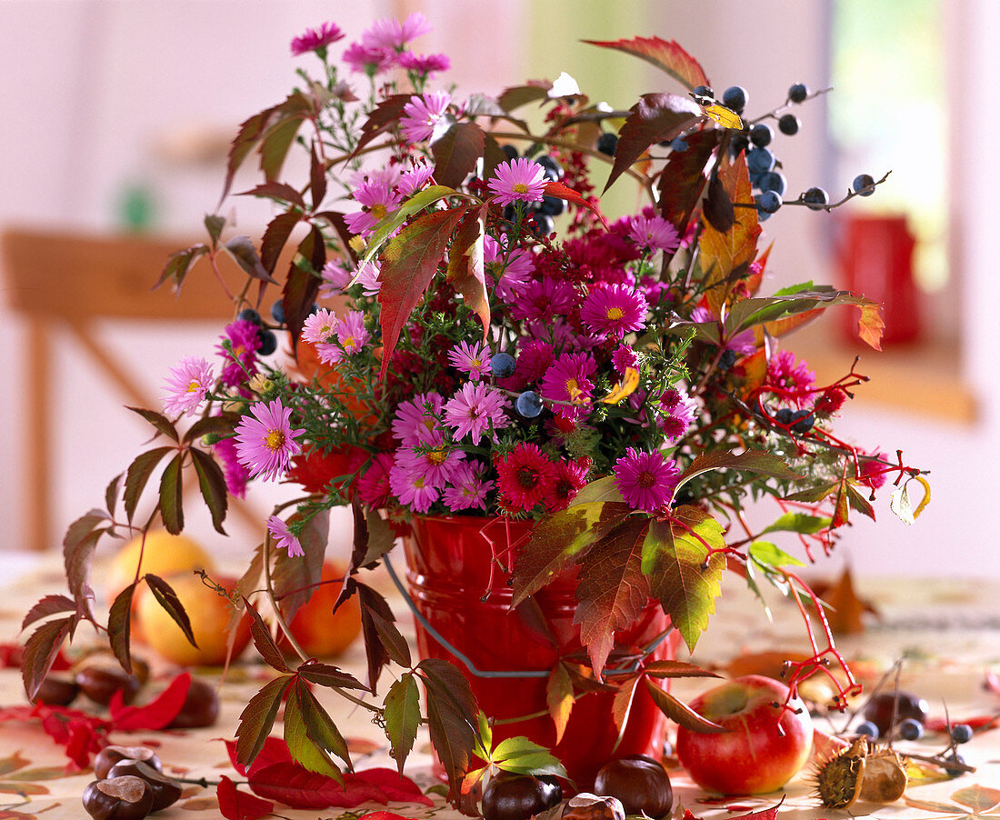 Autumn bouquet with asters and wild vine