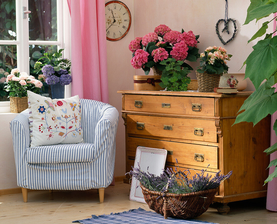 Country house flair with Hydrangea (Hydrangea), Tolmiea