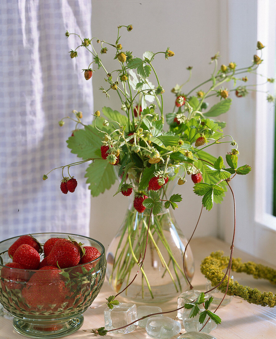 Monatserdbeeren als Sträußchen