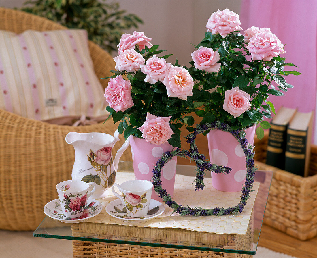 Pink chinensis (potted roses)