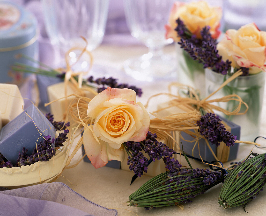 Lavendel- und Rosenseife, Rose 'Ariane', Lavandula 'Nana'