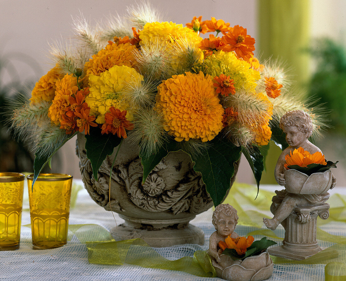 Tagetes filled, Pennisetum (feather bristle grass)