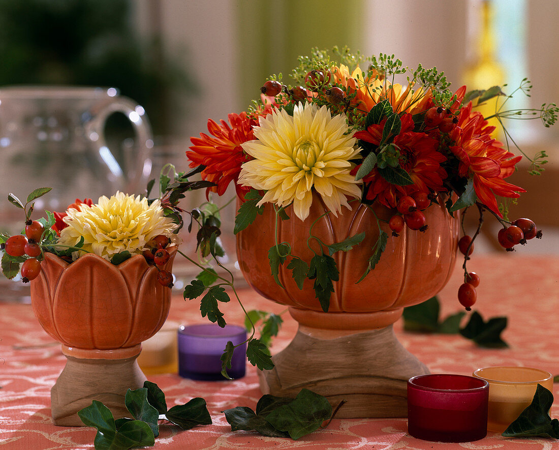 Dahlia flowers (Dahlia), dill, pink (rosehips)