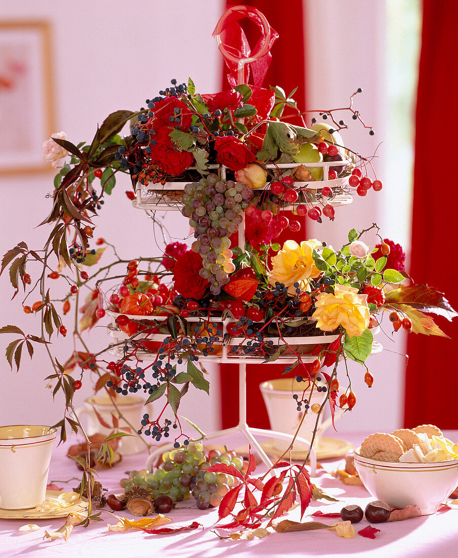 Etagere mit Parthenocissus (Wilder Wein), Vitis (Wein), Rosa (Rosen) und Hagebutten