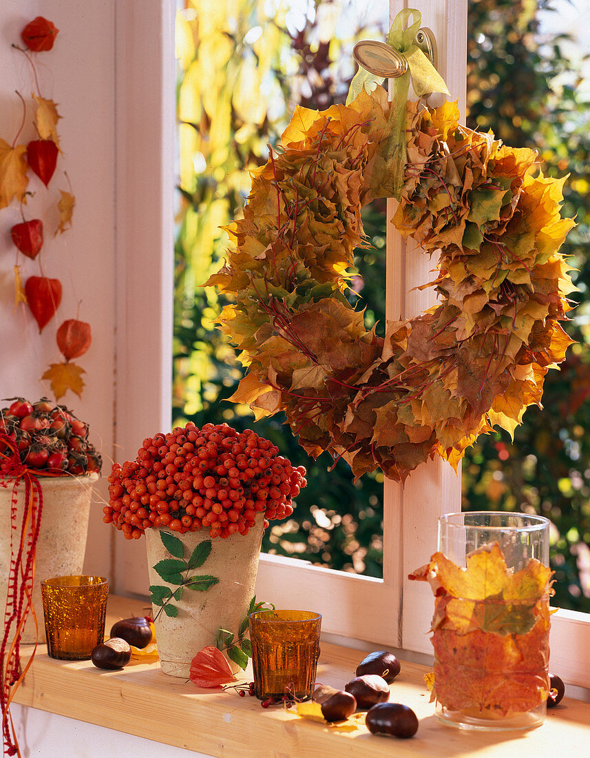 Leaf wreath of Viburnum (snowball), Acer (maple), Euonymus (peony)