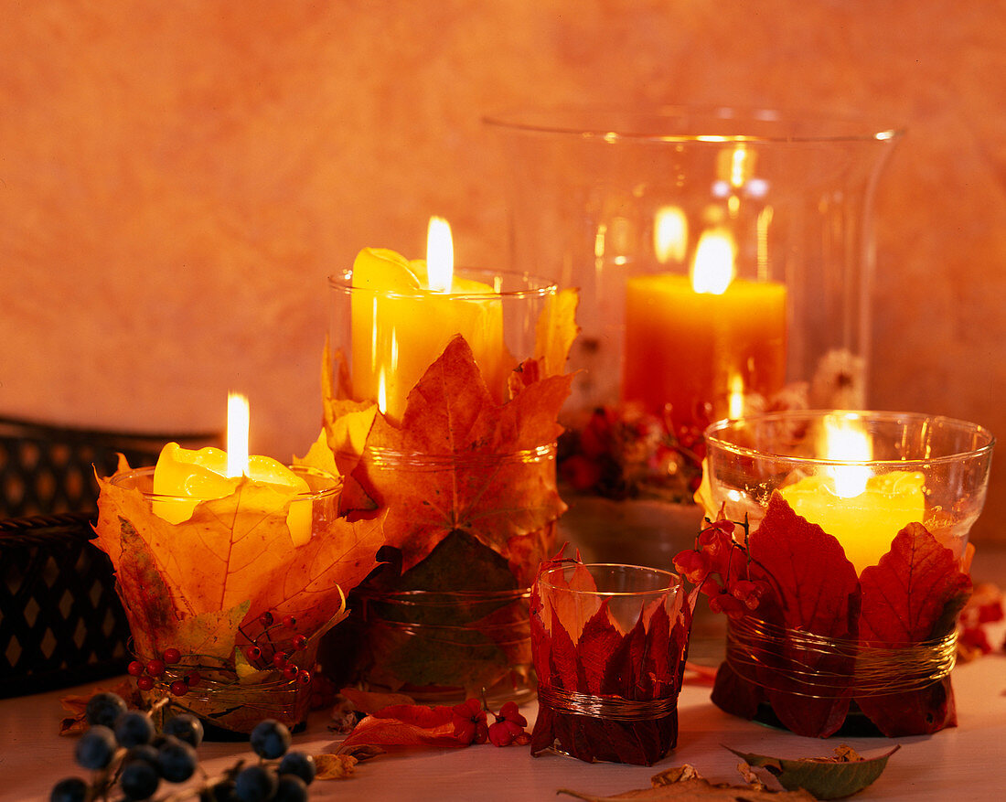 Candles in glasses wrapped with autumn leaves, Acer (maple), Parthenocissus (wild vine)