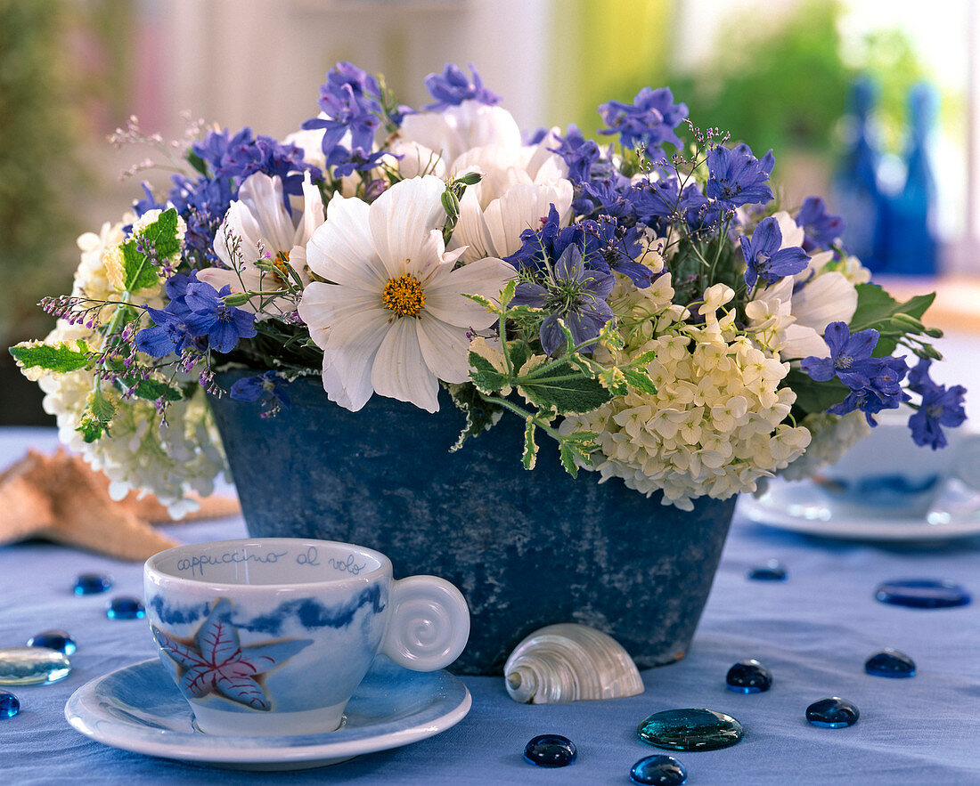 Jardiniere with Delphinium ajacis (one year old larkspur)