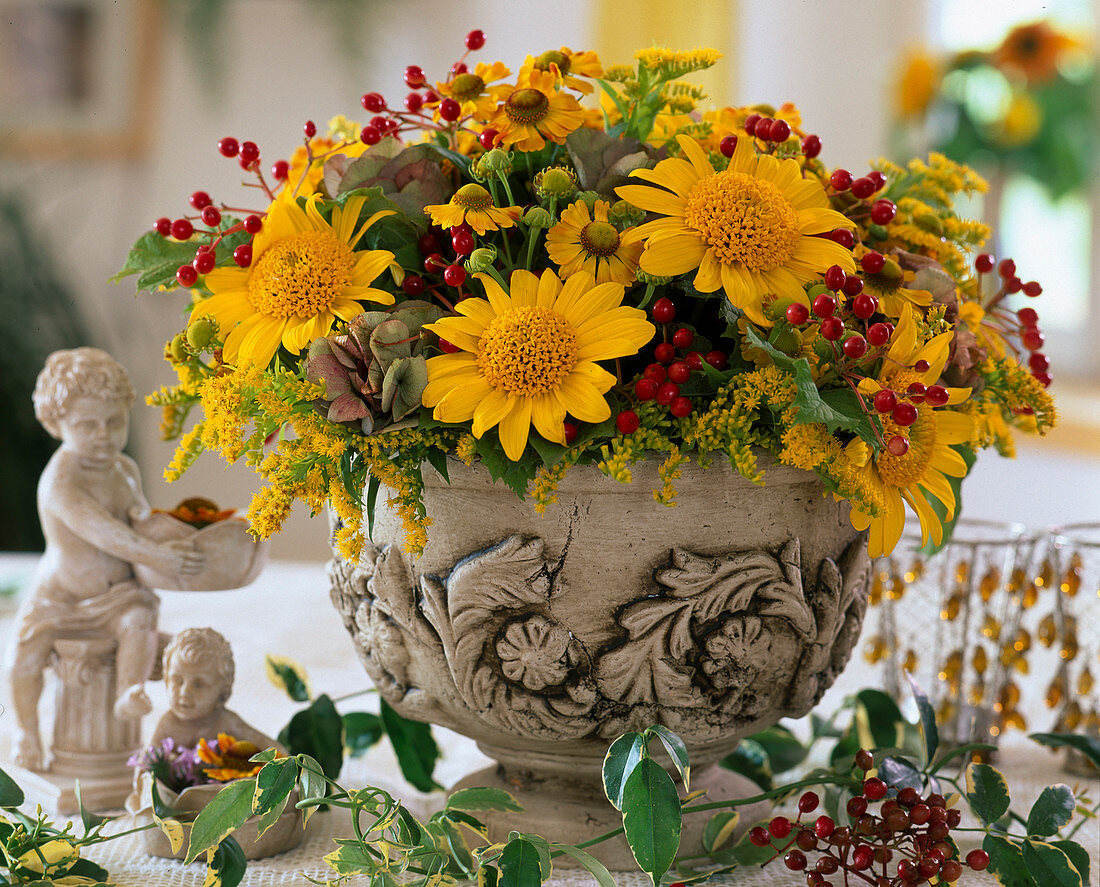 Helianthus decapetalus (Staudensonnenblume)