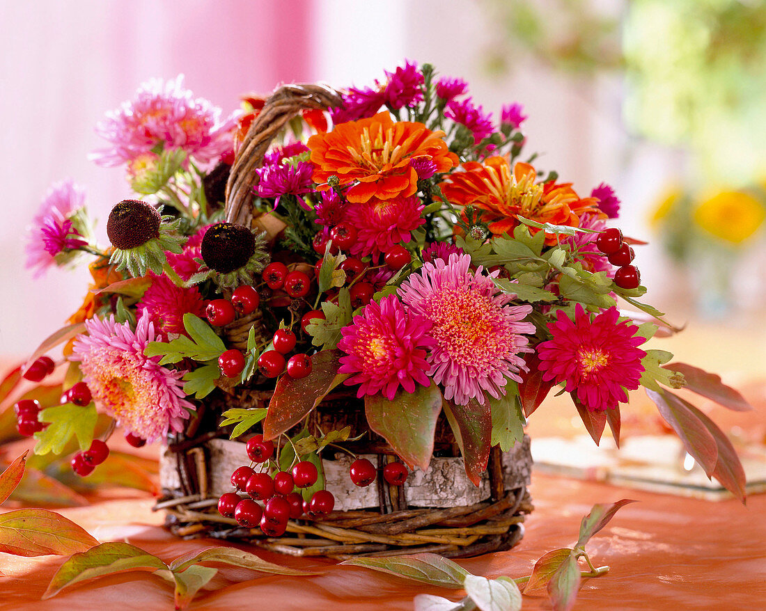 Basket lined with plastic foil, plug mass with dendranthema (autumn chrysanthemum)