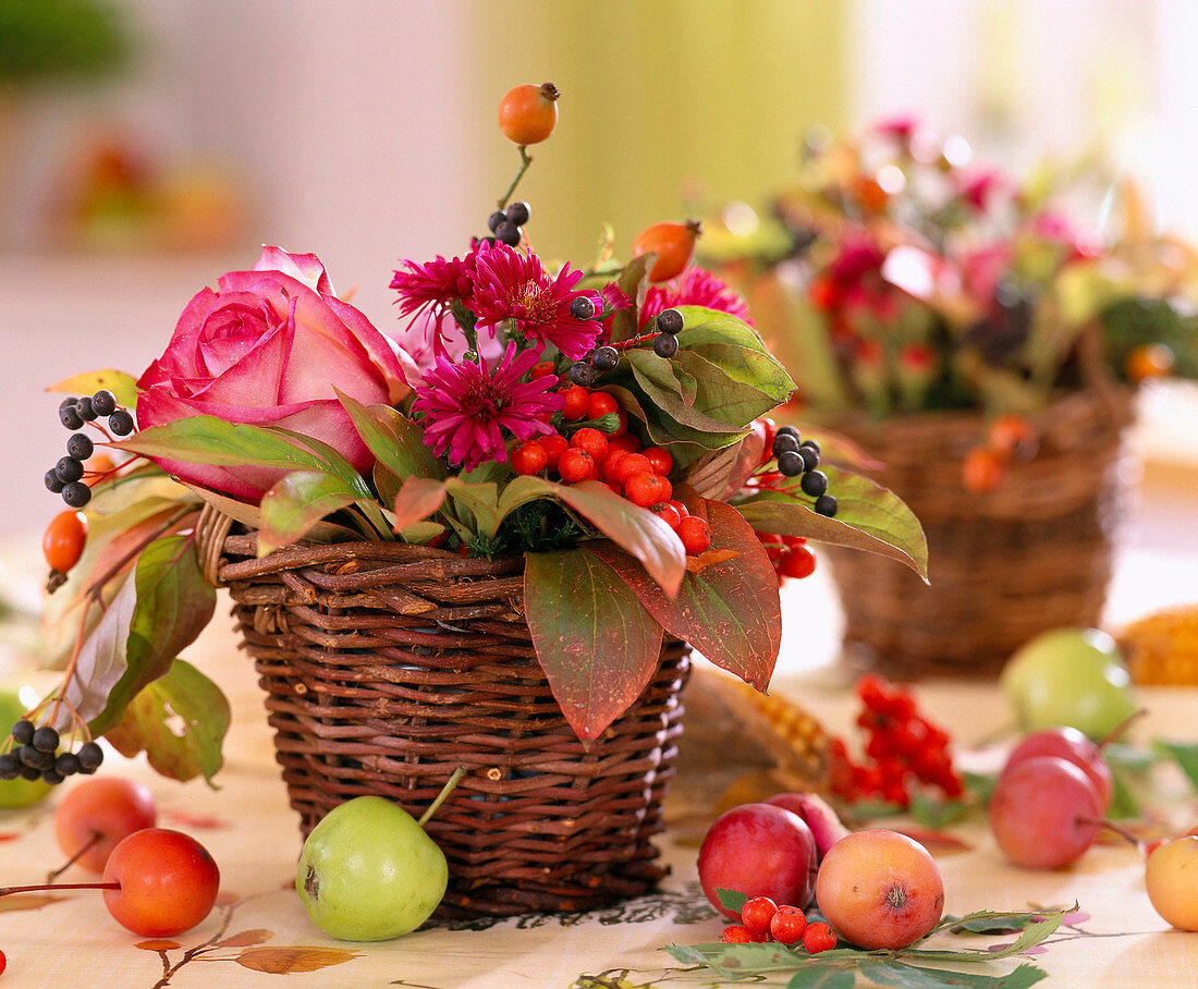 Cups with rose petals, aster, peony leaves peony, rose rosehips,