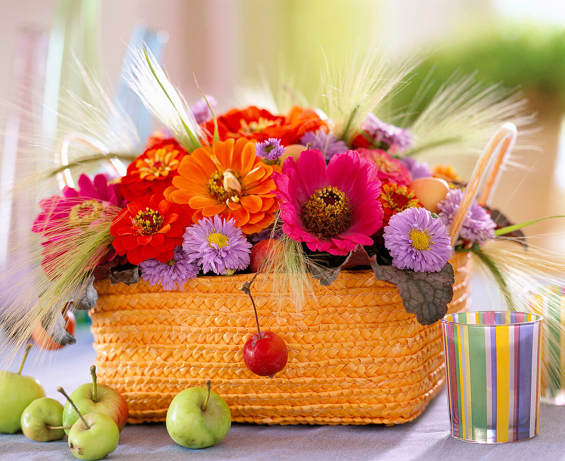 Foil-lined basket, Zinnia elegans (Zinnia, Aster)