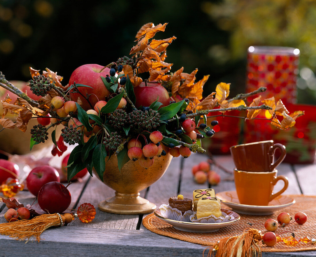 Malus (apples) and ornamental apples, Hedera (ivy), Myrtus (myrtle) with fruits, Fagus (copper beech)