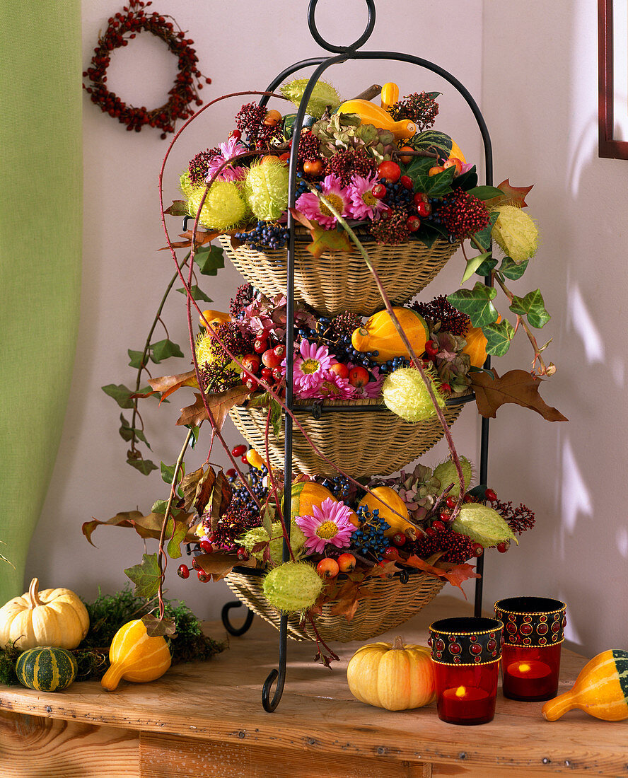 Asclepias (fruits of the silk plant), Cucurbita (pumpkins), Hedera (ivy), Rosa (rose hips)