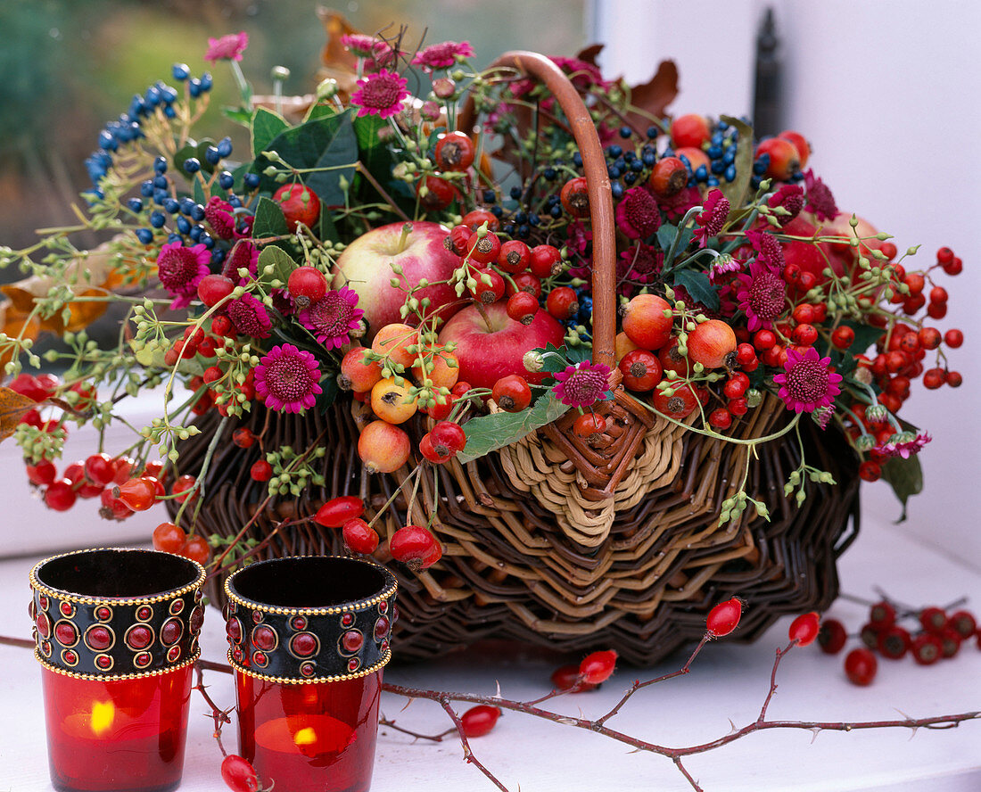 Rosa (rosehips), Malus (apples and ornamental apples), Chrysanthemum, Eucalyptus buds