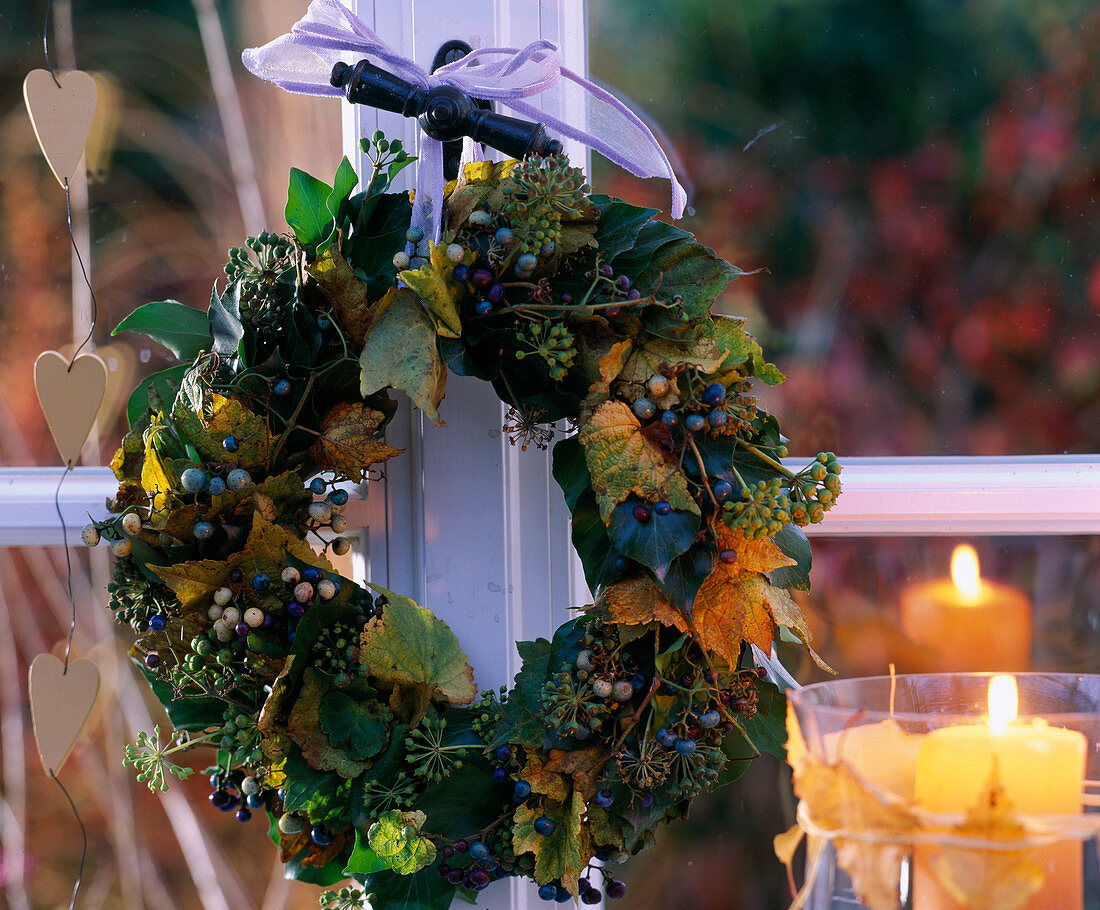 Autumn wreath: Hedera (ivy), Ampelopsis (mock vine)