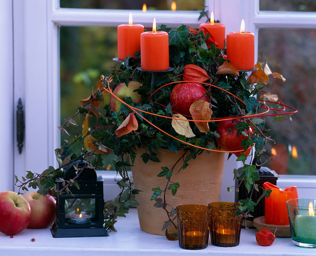 Window decoration: Hedera helix (ivy plant), Malus (apples), Physalis (lampion flower)