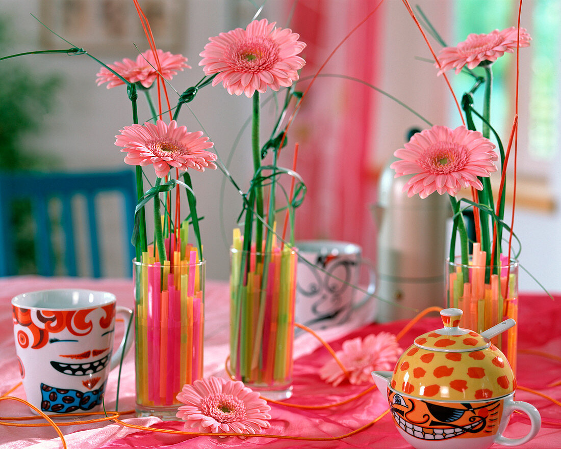 Gerbera (Gerbera flowers)