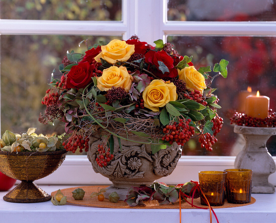 Rosa (Rosen), Skimmia, Photinia (Italienische Mispel), Hydrangea