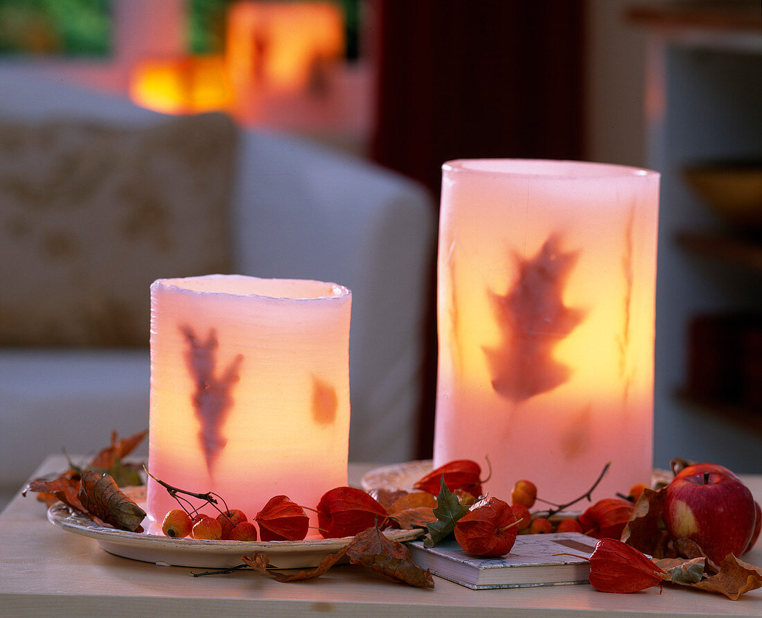 Lanterns cast in wax, Physalis (lanterns), Malus (ornamental apples) and apple