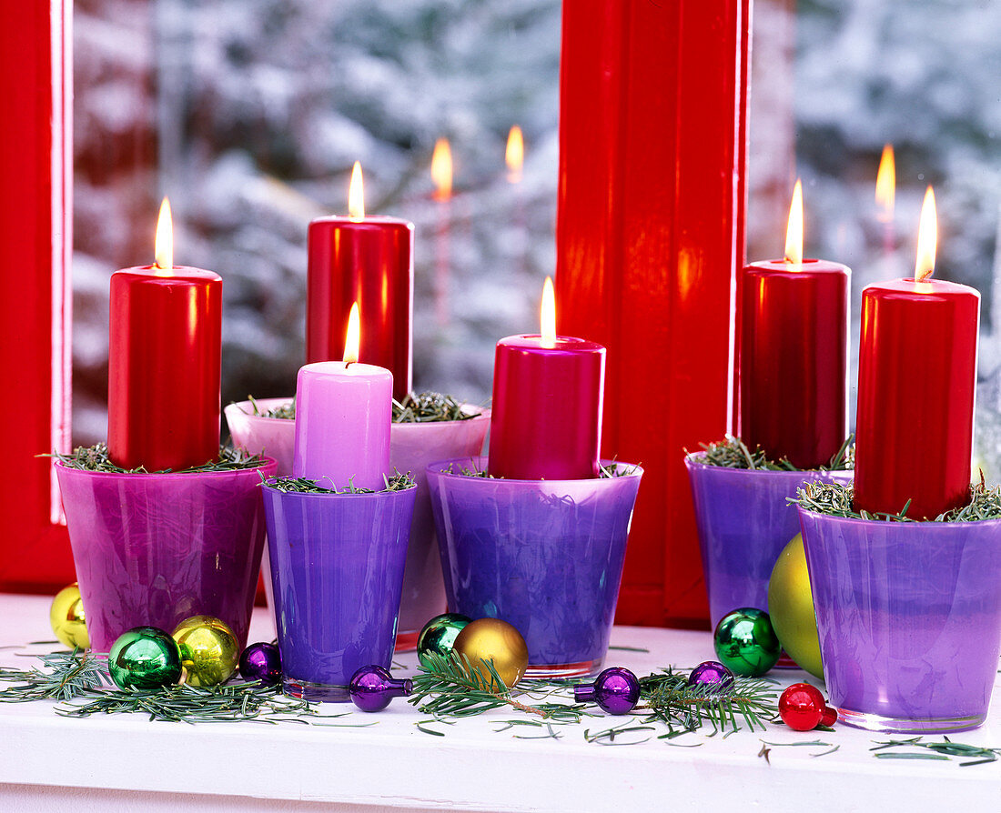 Purple and pink glasses as candle holders, Abies nordmanniana (Nordmann fir)