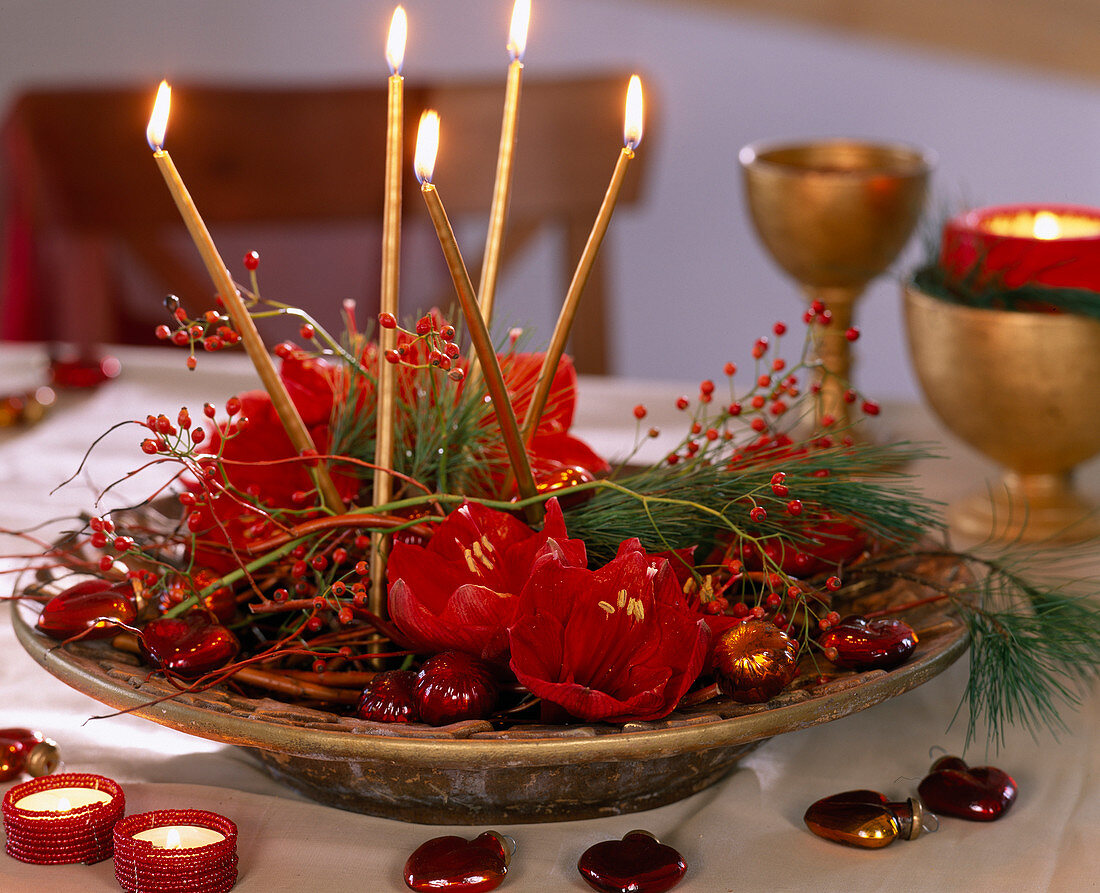 Hippeastrum (Amaryllis), Rosa (Rosehip), Pinus strobus (Silk Pine)