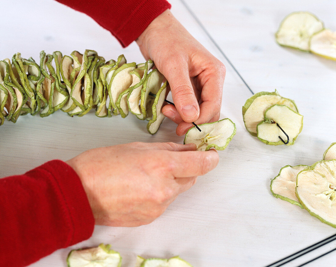 Thread dried apple slices on a wire