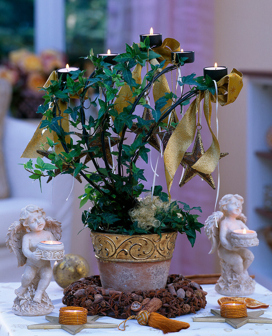 Hedera (ivy plant entwined with 5-armed tea light holder, golden bows, angel, T)