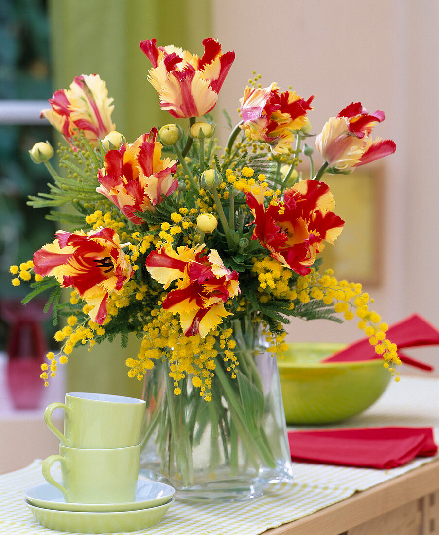 Tulipa 'Flaming Parrot' (Papageitulpen), Acacia (Mimosen)