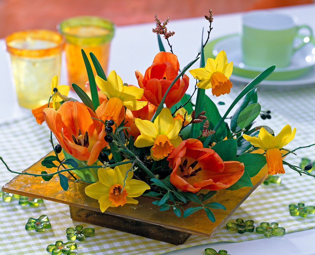 Tulipa 'Monarch' (Tulips), Narcissus 'Jetfire' (Daffodils)