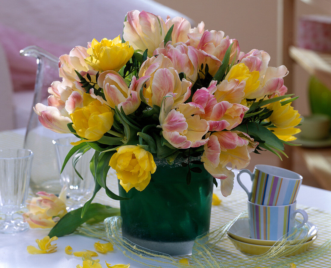 Tulipa 'Monte Carlo' and 'Parrot' (tulip)