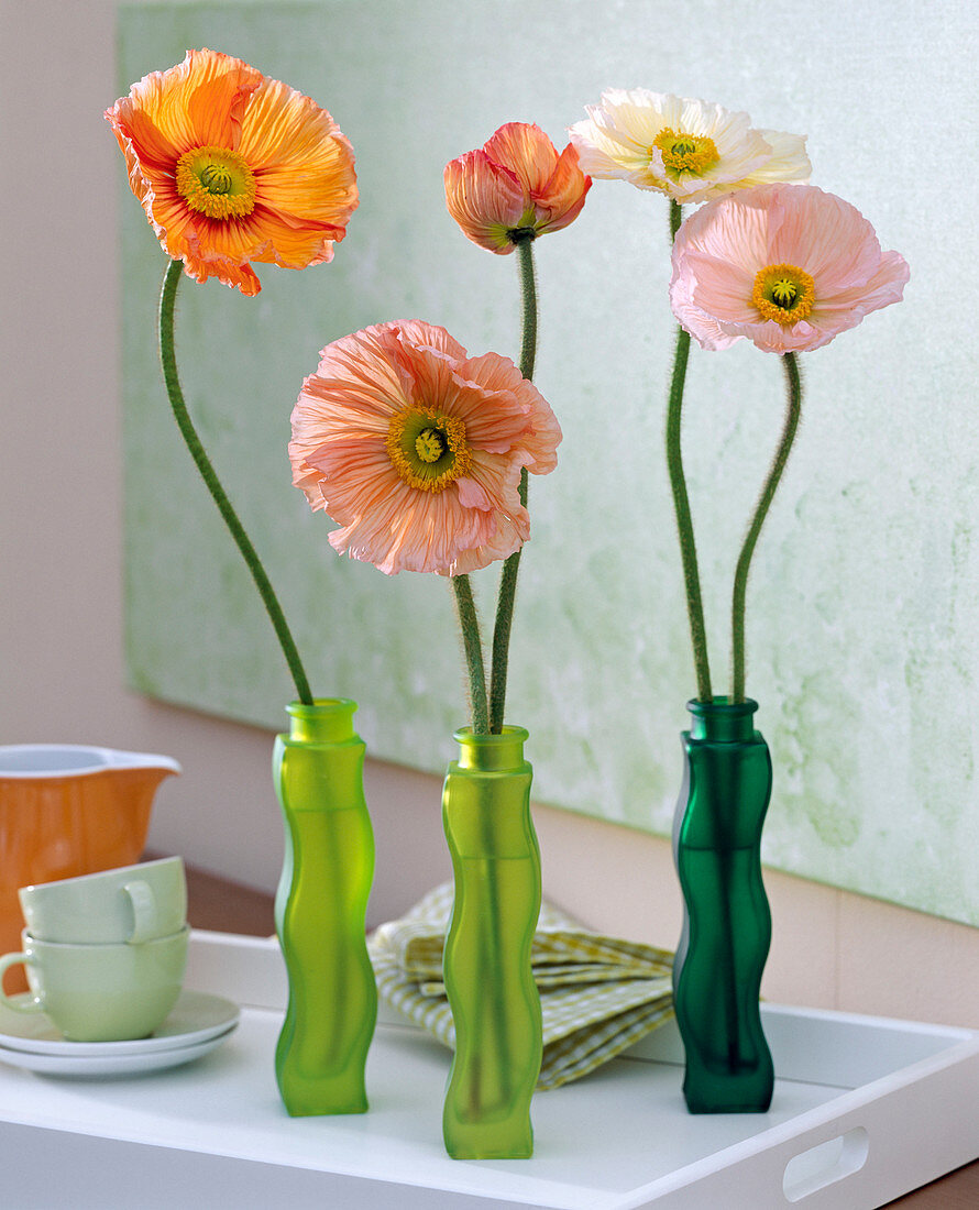 Papaver orientale (silk poppy in green wave vases)
