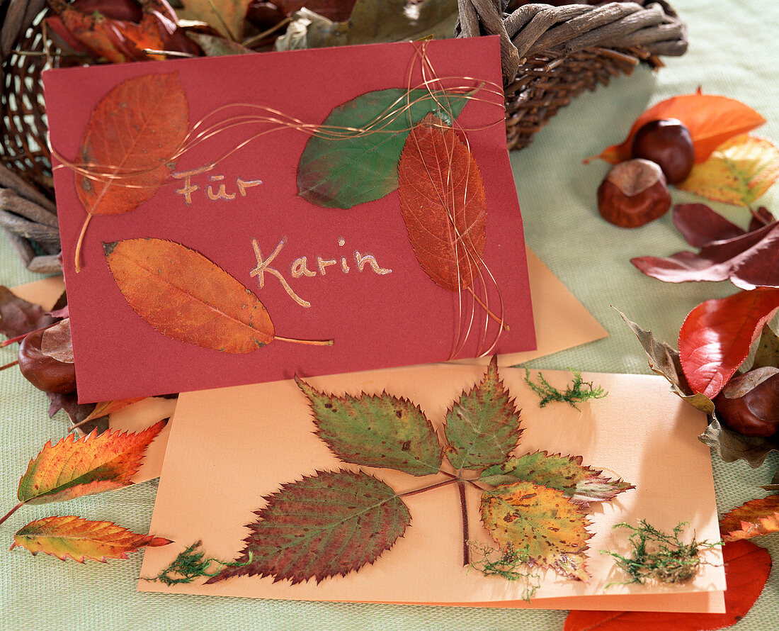 Pressing flowers and leaves (homemade greeting cards)