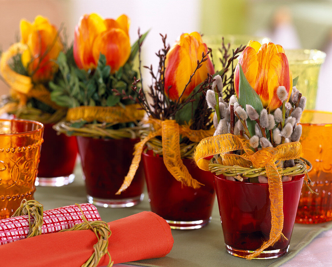 Tulipa 'Flair' (tulips) in red glasses, Salix