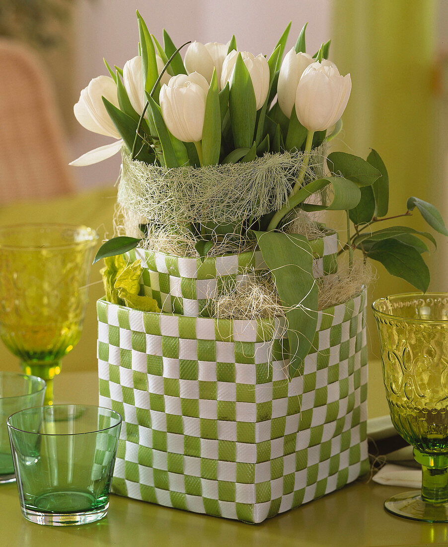 Tulipa 'Inzell' (Tulip) in green-white checked plastic baskets