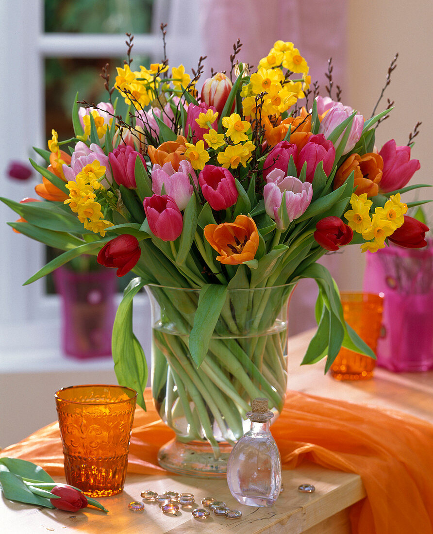 Tulipa (Tulips), Narcissus 'Grand Soleil d'Or' (Narcissus)