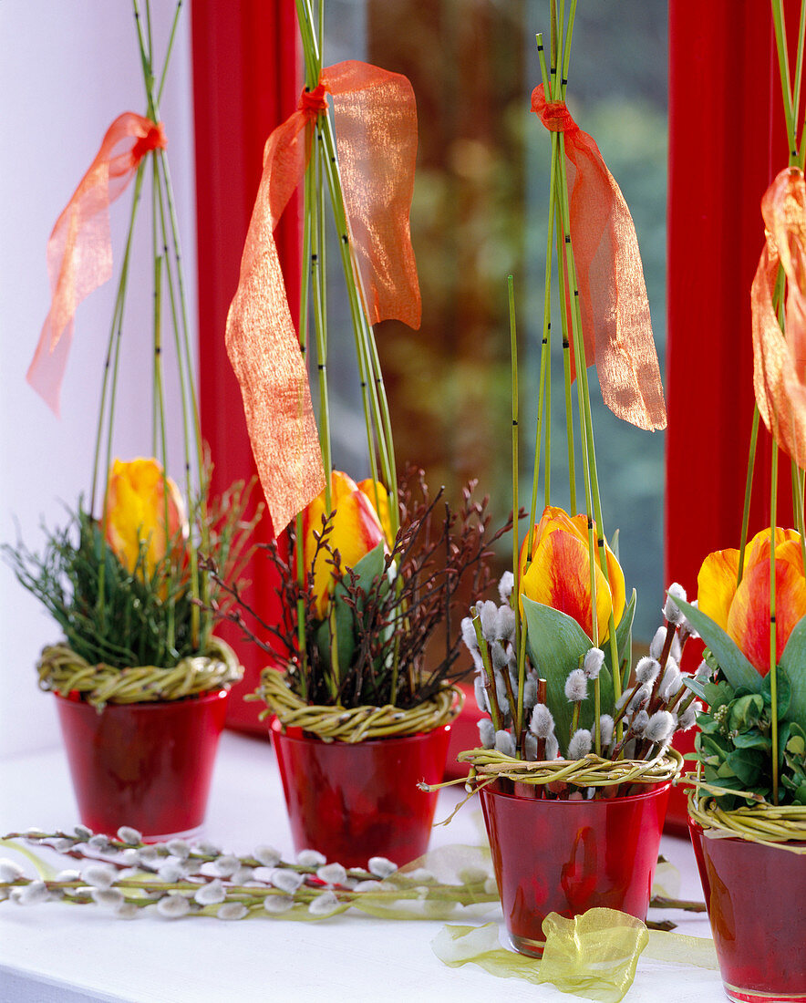 Tulipa 'Flair' (Tulpe), Salix (Kränze aus Trauerweide und Weiden)