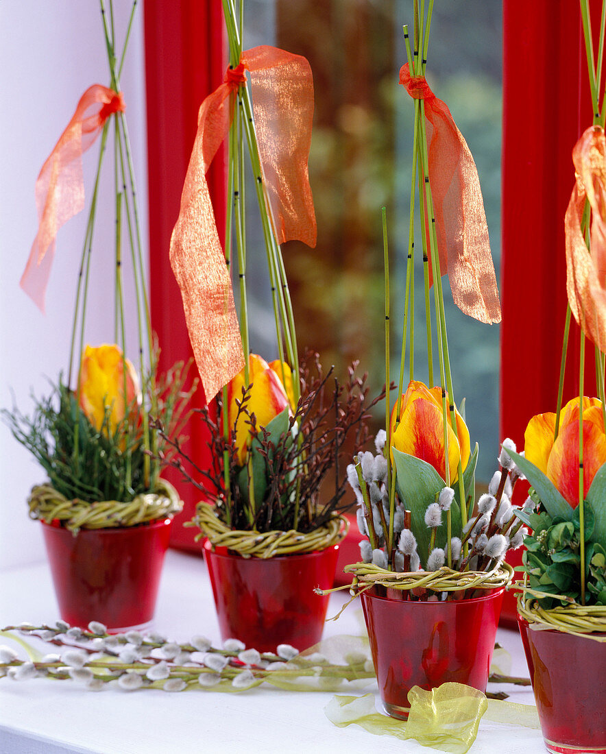 Tulipa 'Flair' (tulip), Salix (wreaths of weeping willow and willow)