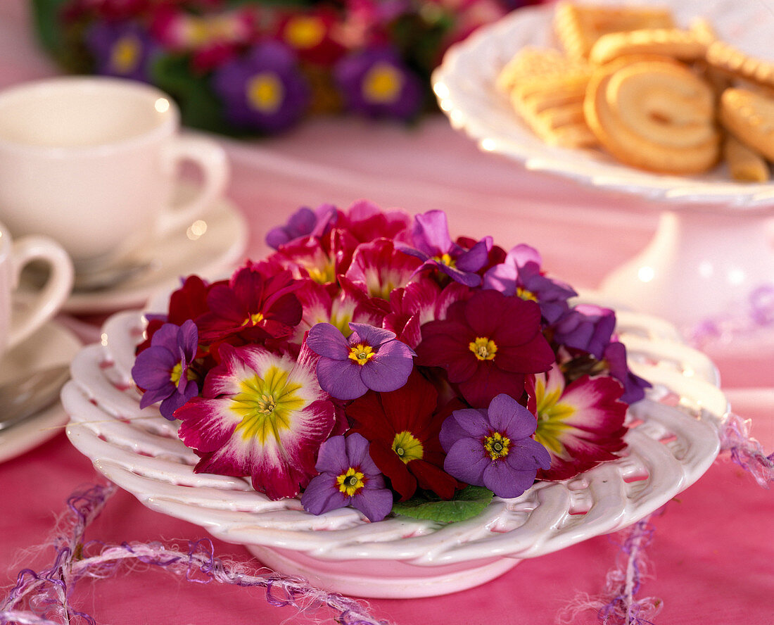 Plate with flowers of spring primroses