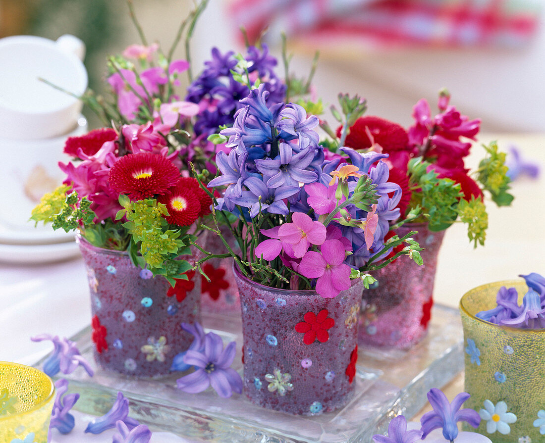 Small posy of Bellis (daisies), Hyacinthus