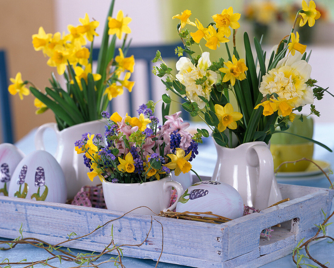 Narcissus (Daffodils), Myosotis (Forget-me-not), Hyacinthus