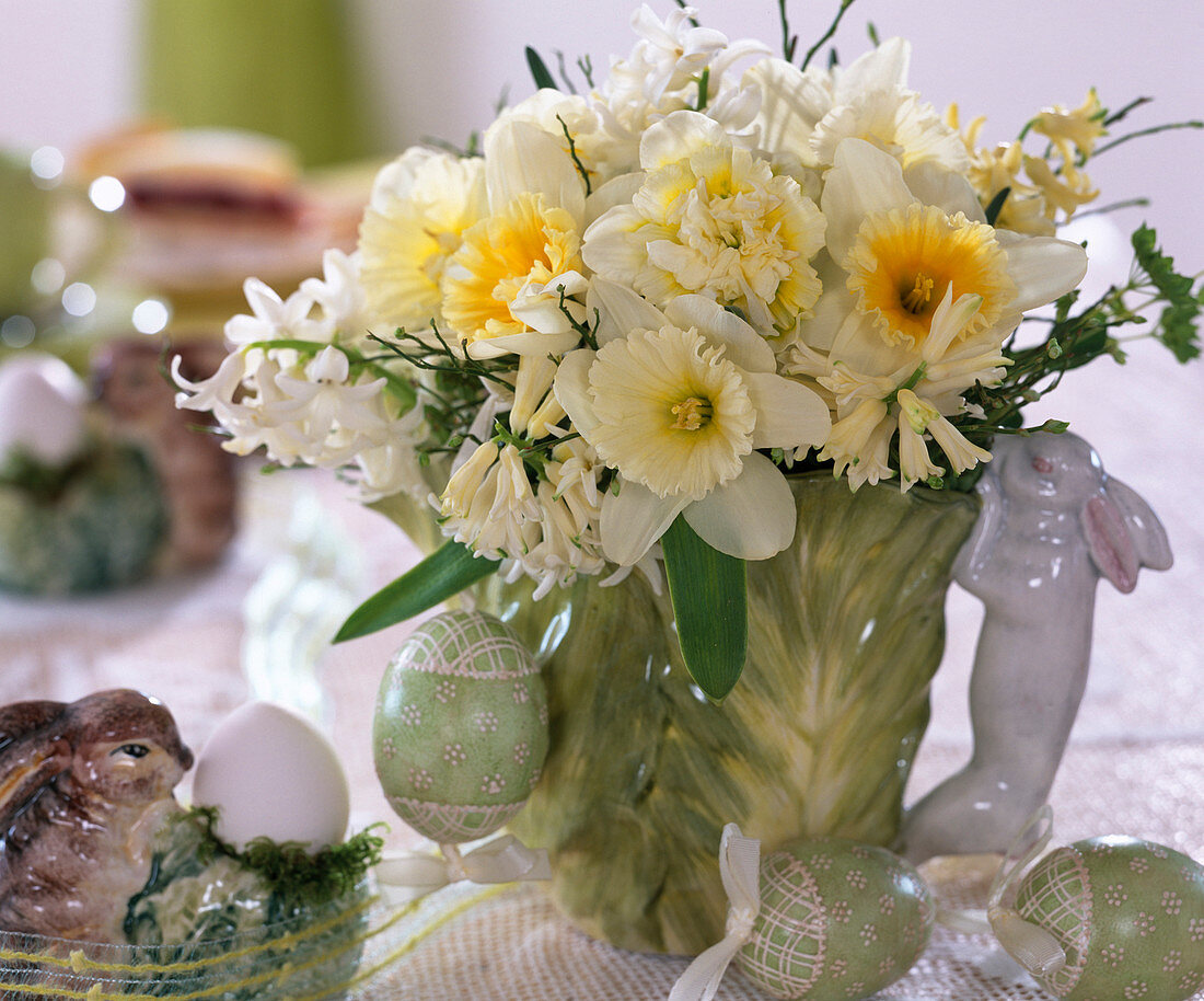 Narcissus (Orchideenblütige Narzissenmischung, Hyacinthus)